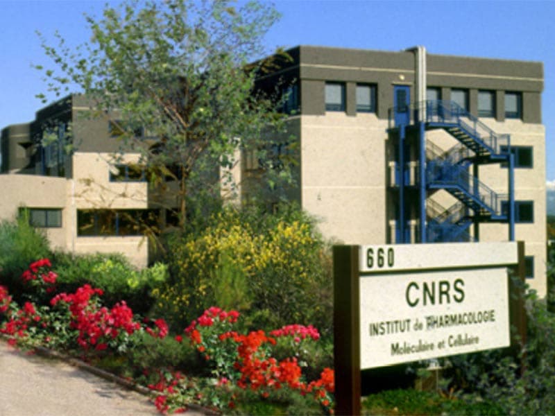 Sophia : l'IPMC fête 30 ans de biologie sur la Riviera