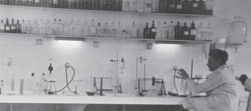 70 ans INRA Sophia : de "Nourrir la France" à "Nourrir durablement le Monde"