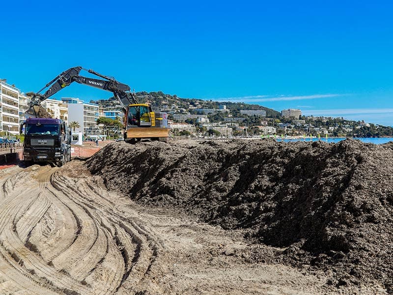 Environnement : Cannes soigne ses herbiers de posidonies