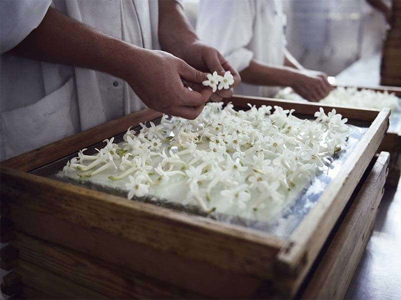 L’INPI homologue l’indication géographique "L'absolue Pays de Grasse"