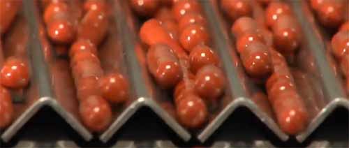 Arkopharma à Carros : la famille Rombi veut passer la main