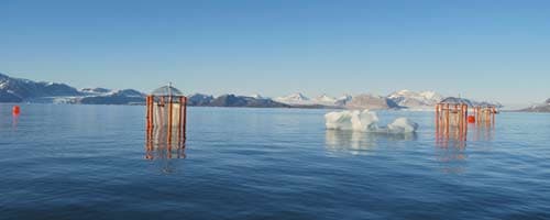 CO2 et acidification des océans : ce qu'ont trouvé les chercheurs