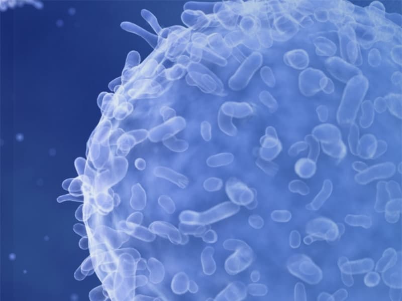 Une découverte des chercheurs azuréens : le nez, porte d'entrée du Covid-19