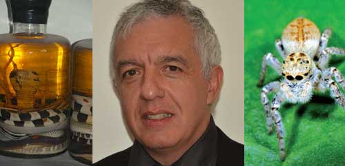 Startup-show.com : VenomeTech à la recherche des venins qui soignent