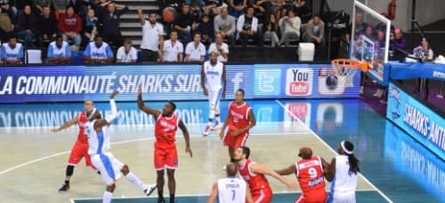 Fin de série pour les Sharks d'Antibes