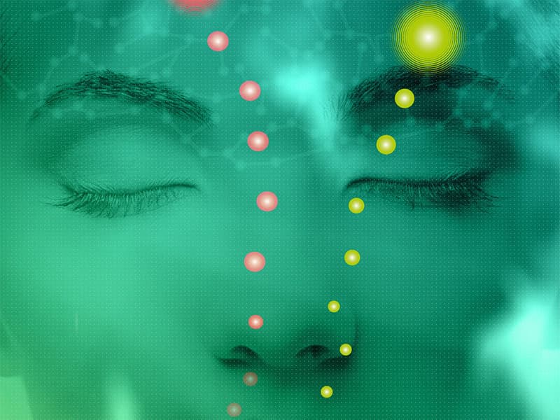 Grasse : quand le parfum se met à l'IA et au Big Data