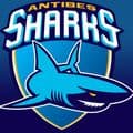 Basket : les Sharks dévorent Le Portel