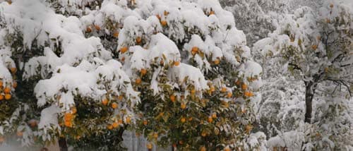 Neige : trafic encore perturbé ce vendredi matin sur l'aéroport de Nice