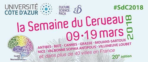 L'Intelligence Artificielle et le vivant pour la 20ème Semaine du Cerveau