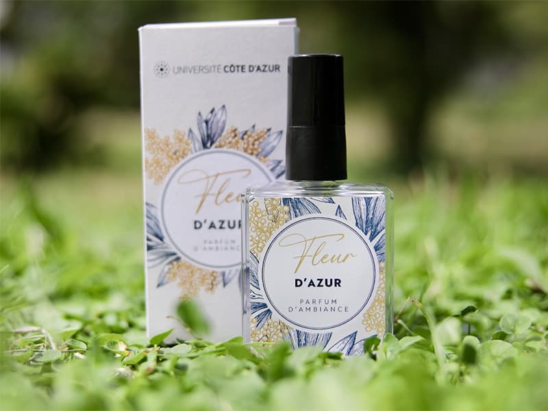 Des “signatures sensorielles” pour Université Côte d’Azur 