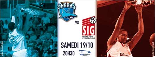Basket : les Sharks d'Antibes accueillent Strasbourg