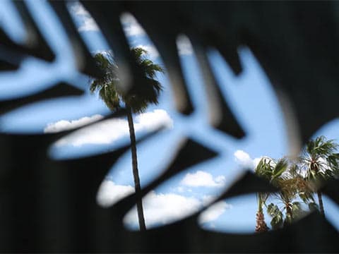 Festival de Cannes : les films de l'édition post-Covid