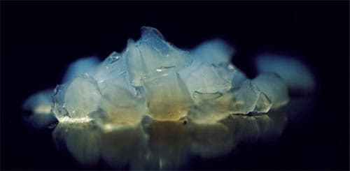 Sophia : un séminaire sur les aérogels, les matériaux du futur