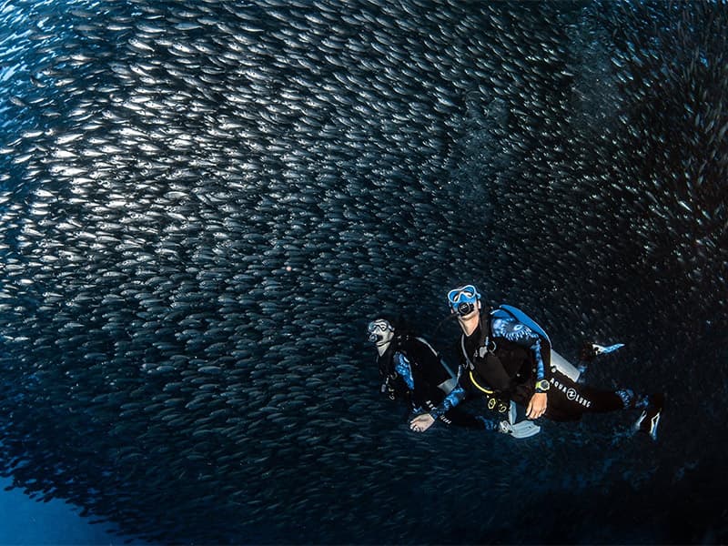 Aqua Lung (plongée sous-marine) va installer son siège mondial à Sophia
