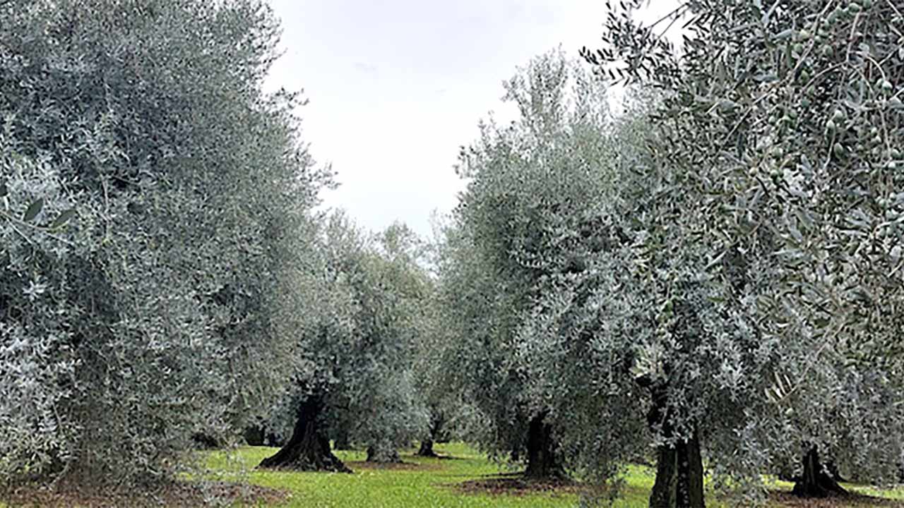 La Côte présente au prochain Salon international de l’Agriculture