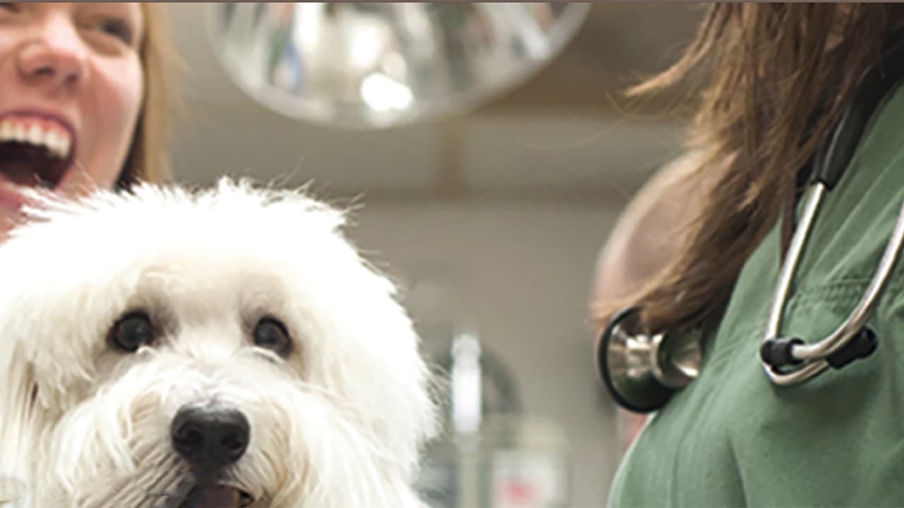 Virbac : près de 1,4 milliard d’euros de chiffre d’affaires en 2024 (+13,6%)