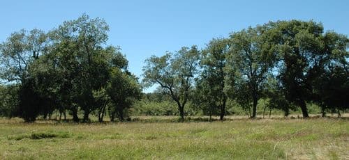 Les prairies humides de la Brague sauvegardées