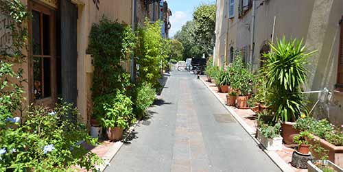 Mouans-Sartoux, capitale régionale PACA de la "biodiversité"!