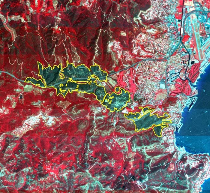 Feux de forêt à Mandelieu et au Muy : les dégâts vus par l'il de Spot 5