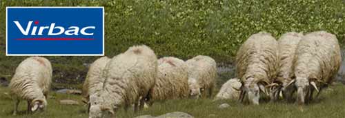 Virbac sur une croissance à deux chiffres en 2012