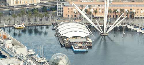 Eternelle Méditerranée : Gênes fête les dauphins et baleines