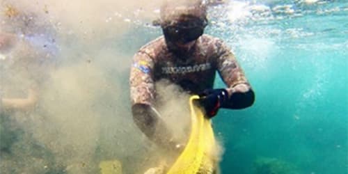 Antibes : tous au nettoyage du littoral samedi matin plage de La Gravette !