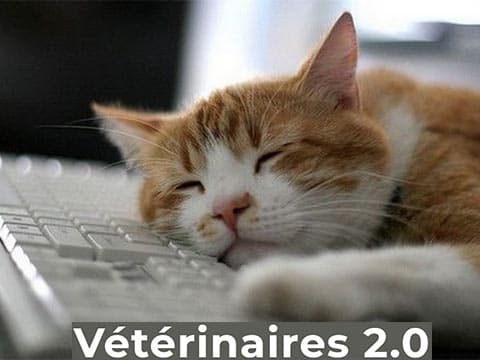 Sophia : les vétérinaires 2.0 d'Oxane se rapprochent du réseau de cliniques VetFamily