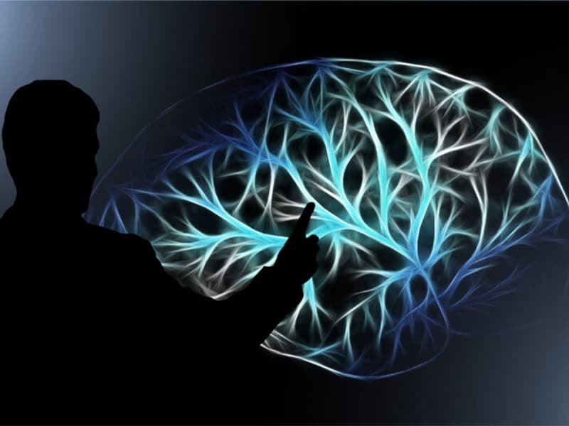 Biot : Le cerveau est-il un ordinateur comme les autres ?