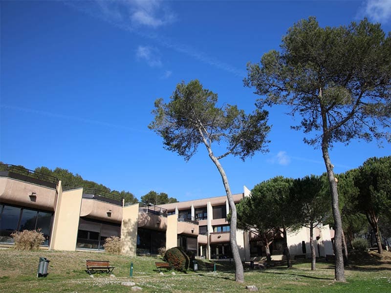 SKEMA BBA 4X4 : un nouveau dispositif de mobilités 4 années-4 campus