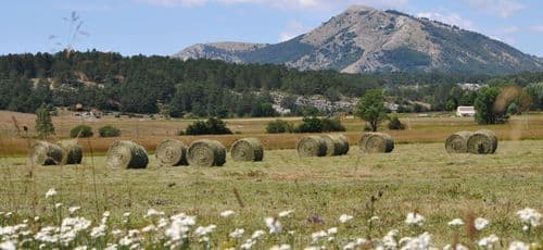Le Parc des Préalpes d’Azur n’attend plus que le Premier Ministre  