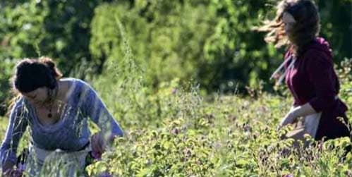 Patrimoine mondial : la France proposera la candidature de Grasse