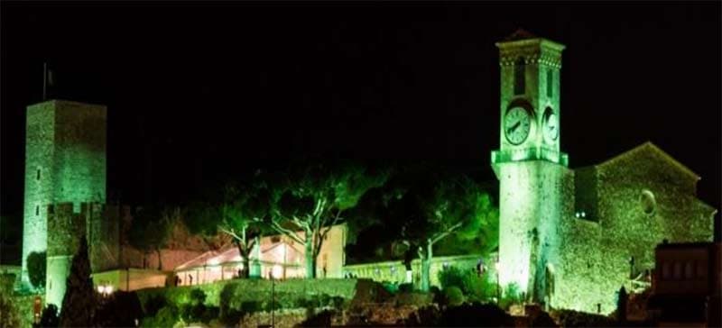 Cannes s'illuminera en vert samedi soir pour la Saint-Patrick