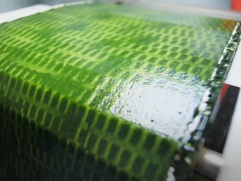 Micro-algues pour l'alimentation : la ferme-pilote d'inalve est lancée à Nice