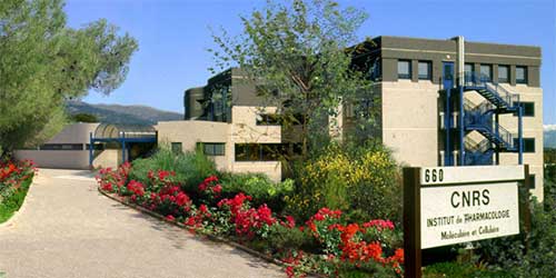 Sophia : l'IPMC en passe d'améliorer l'efficacité des chimiothérapies