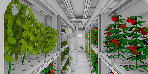 Thales Alenia Space : comment faire pousser des plantes dans l'espace