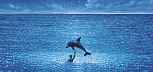 Grand Bleu : Marineland dit adieu à Joséphine 