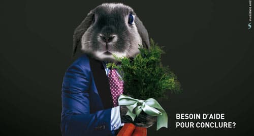 Palmes de la Com' : le Grand Prix aux lapins de l'agence Les Argentins