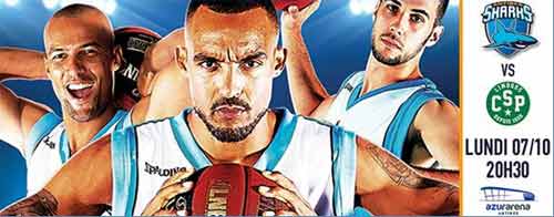 Basket : la saison s'ouvre lundi sur un Antibes Sharks contre Limoges