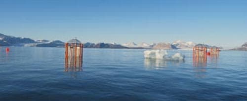 Océanographie : les plus petits planctons vont-ils déterminer le futur des océans ?