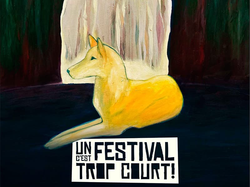 Nice : le court-métrage a son festival