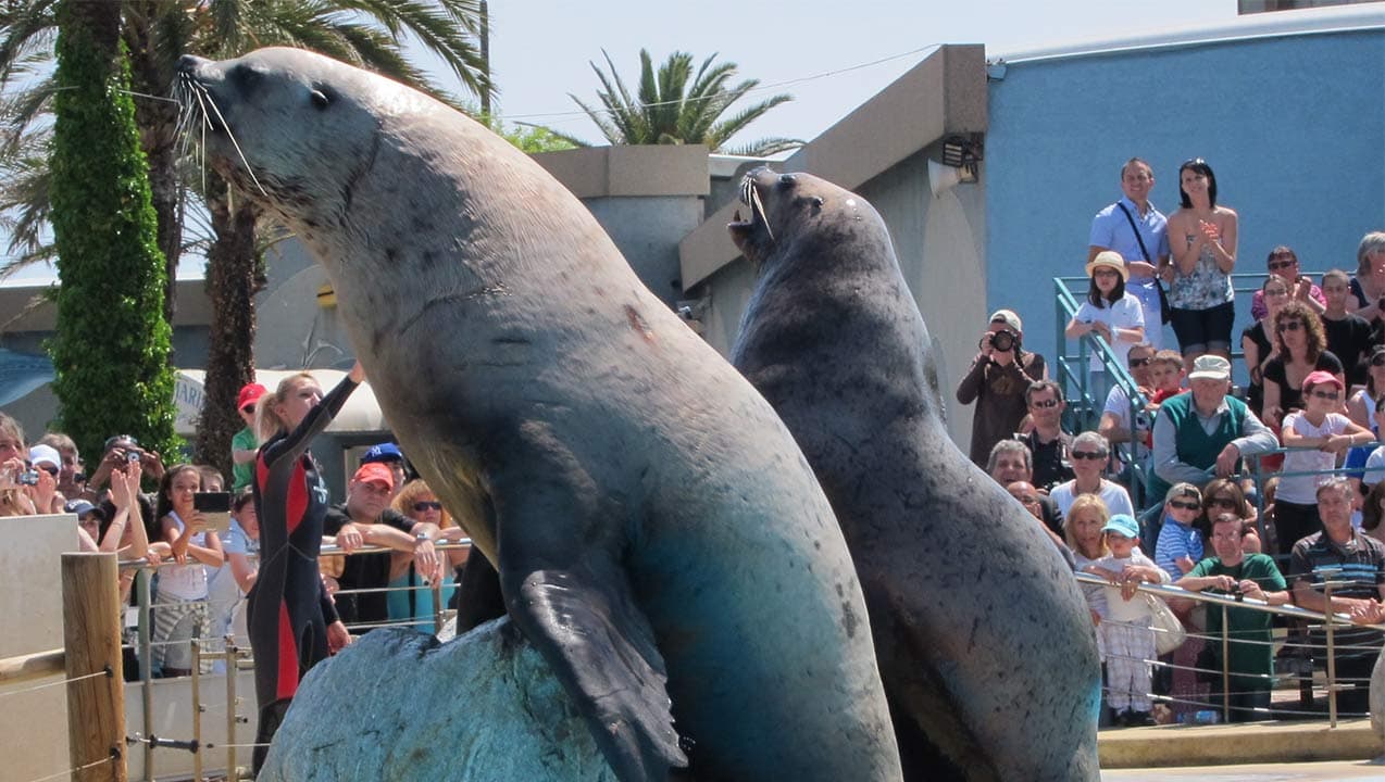 Antibes : l’adieu à Marineland