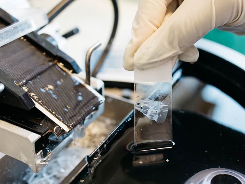 Nice : la jeune biotech InnoSkel d'Elvire Gouze lève 20 M€ !