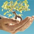 Master Développement Durable de SKEMA : dix ans et un tournant