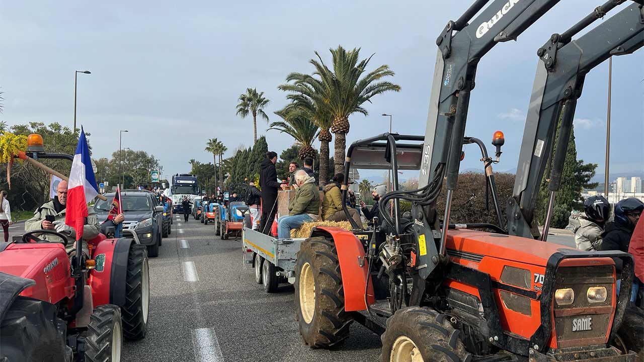 Agriculture en survie : les agriculteurs azuréens dans la rue ce jeudi