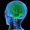 Lancement à Cannes du 10ème Neurodon : linterview de Christophe Malavoy