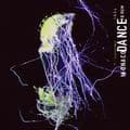 Les transports exceptionnels du Monaco Dance Forum