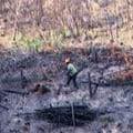 Des Brigades Vertes pour réhabiliter le Parc naturel de lEstérel