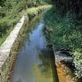 Eau : réserves en abondance sur le bassin cannois