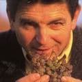 Jurançon : la belle aventure du Domaine Cauhapé