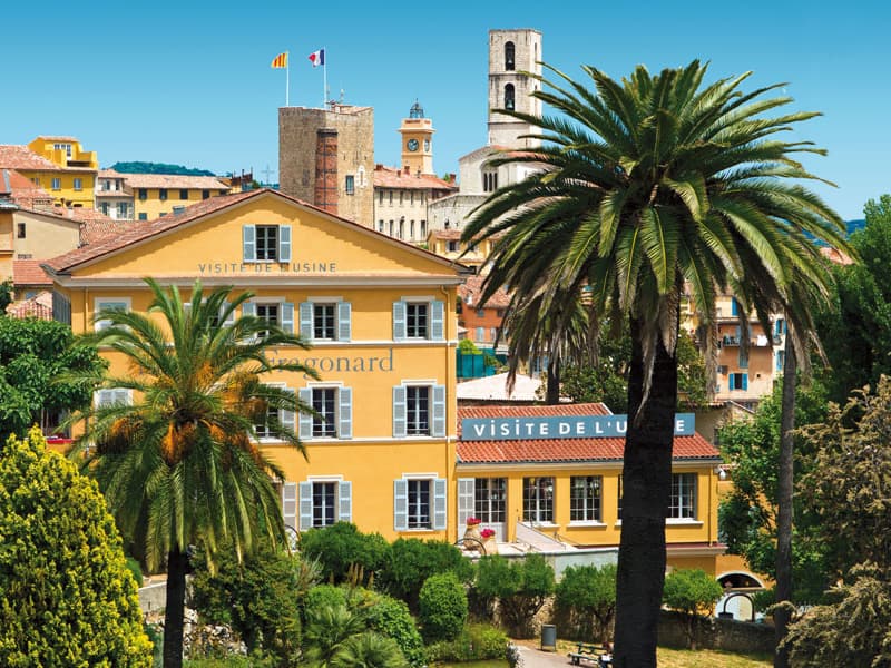 Grasse : les entreprises du "savoir-faire" ne veulent pas être les oubliées de la crise
